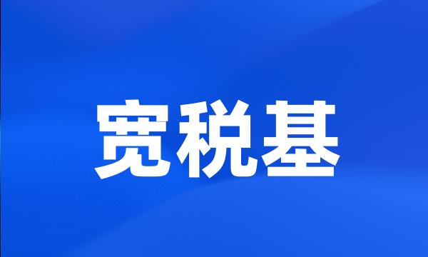 宽税基