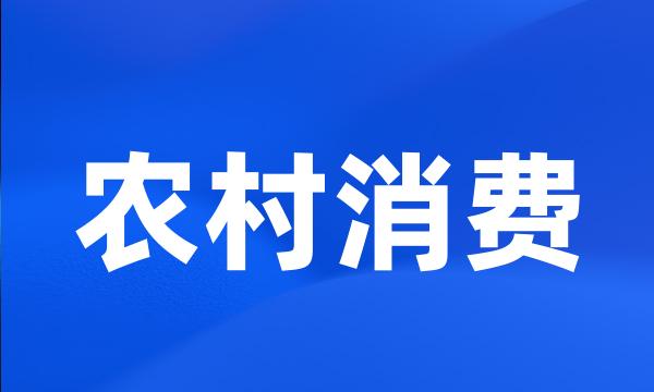 农村消费