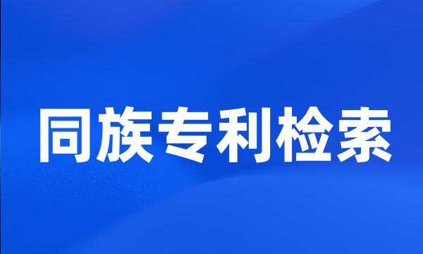 同族专利检索