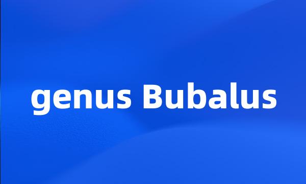 genus Bubalus