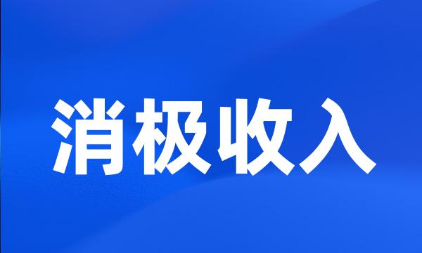 消极收入