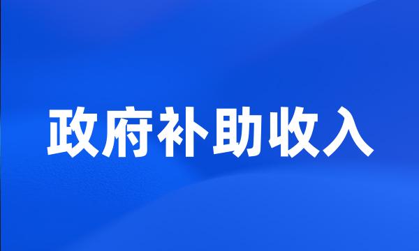 政府补助收入