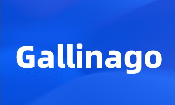 Gallinago