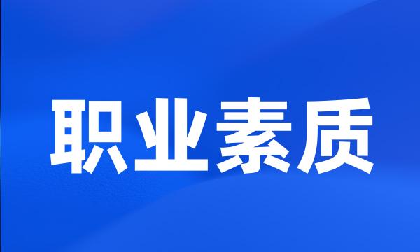 职业素质