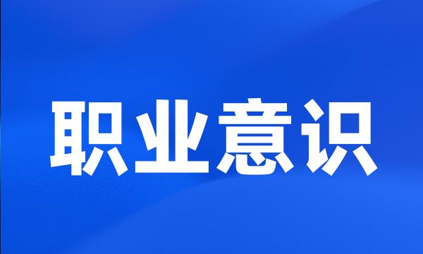 职业意识