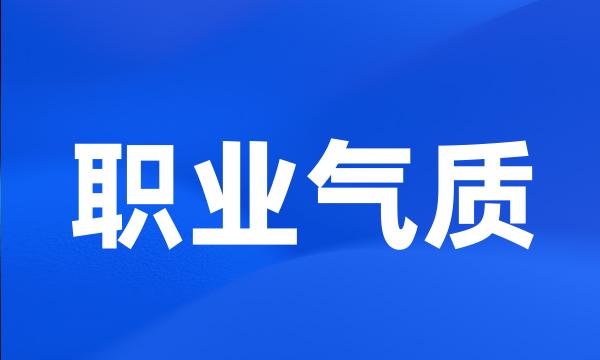 职业气质