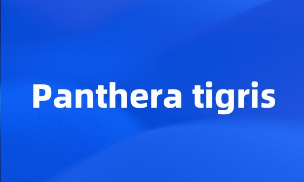 Panthera tigris