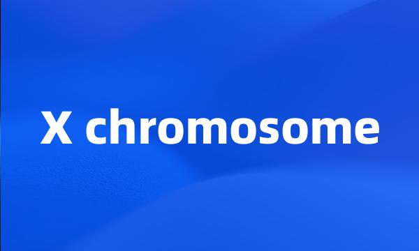 X chromosome