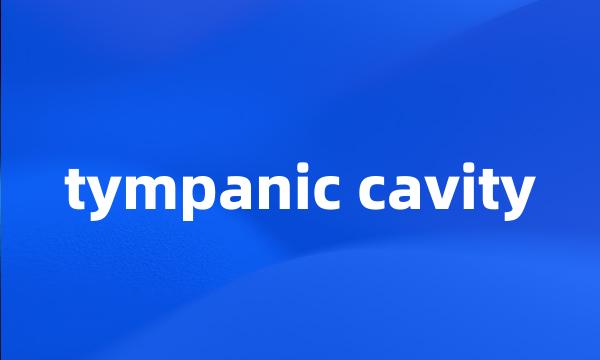 tympanic cavity