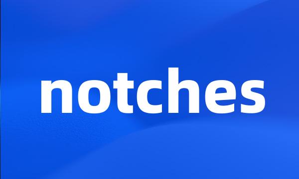 notches