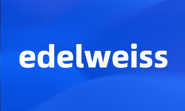 edelweiss