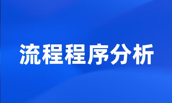 流程程序分析