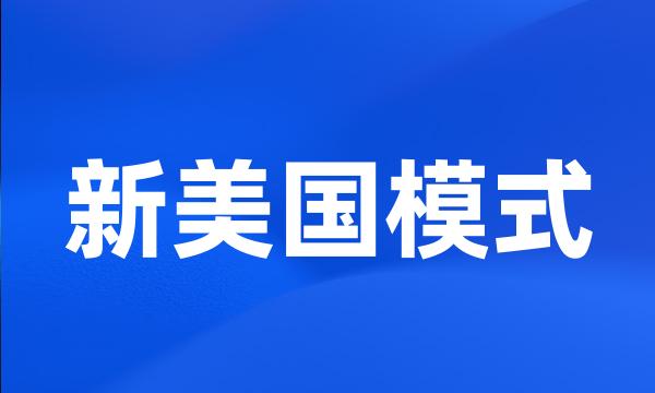 新美国模式