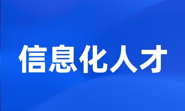 信息化人才