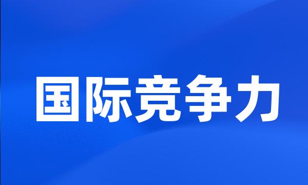 国际竞争力