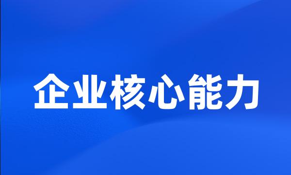 企业核心能力