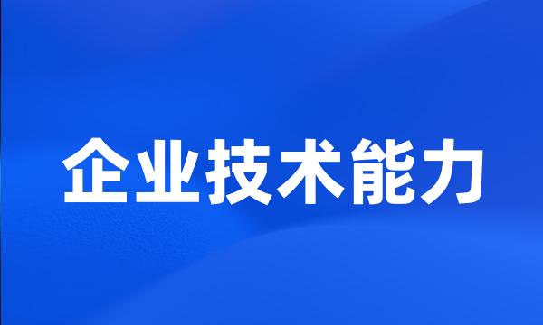 企业技术能力