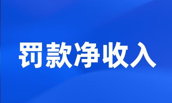 罚款净收入