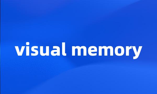 visual memory