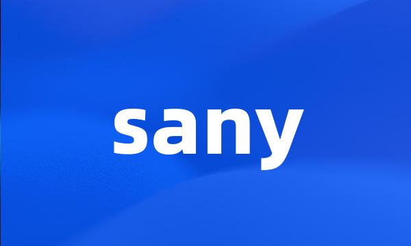 sany