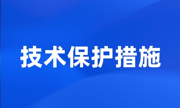 技术保护措施