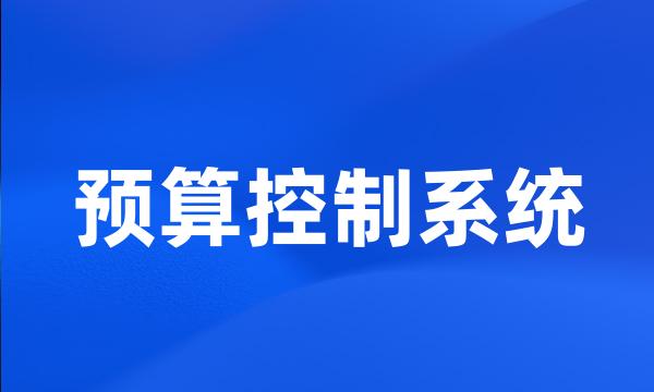 预算控制系统