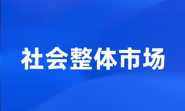 社会整体市场