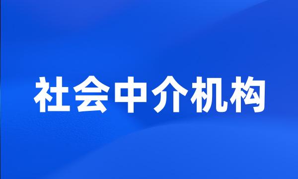 社会中介机构