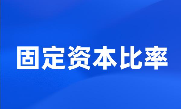 固定资本比率