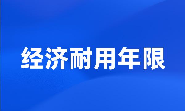 经济耐用年限