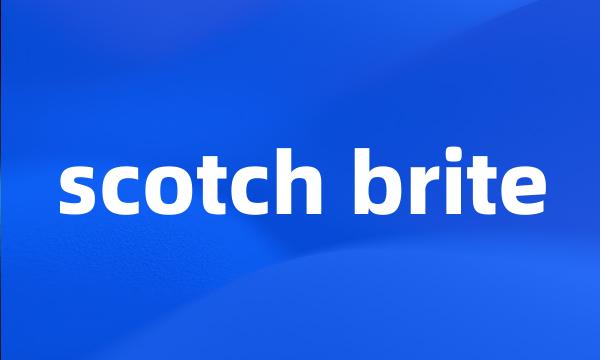 scotch brite