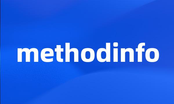 methodinfo