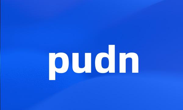 pudn