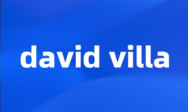 david villa