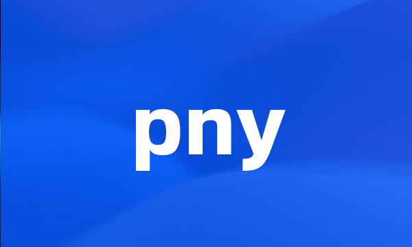 pny