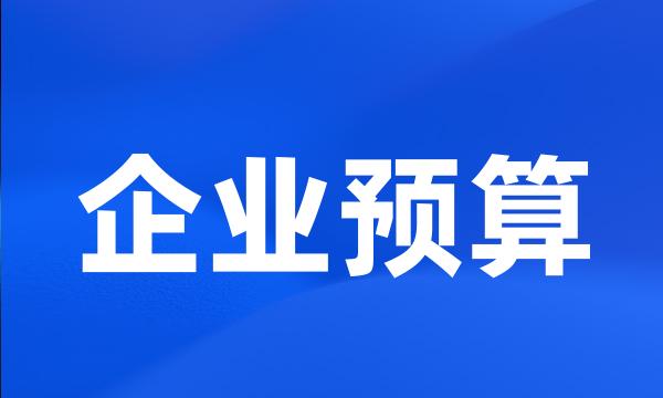 企业预算