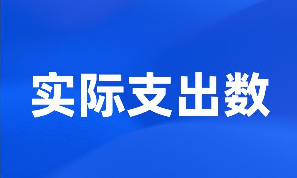 实际支出数