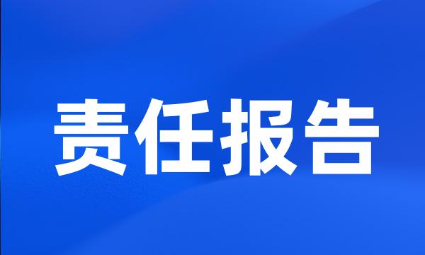 责任报告