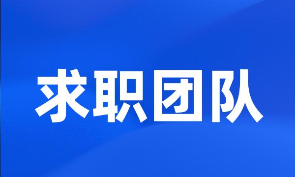 求职团队