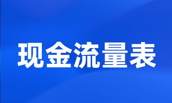 现金流量表