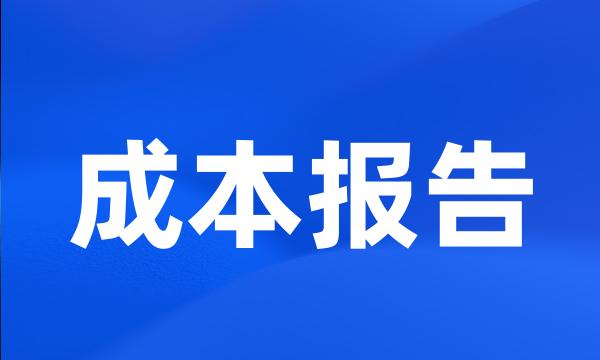 成本报告