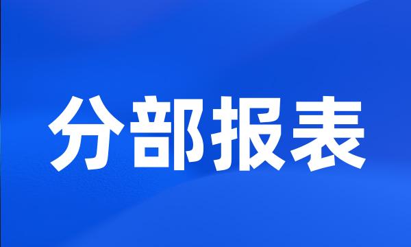 分部报表