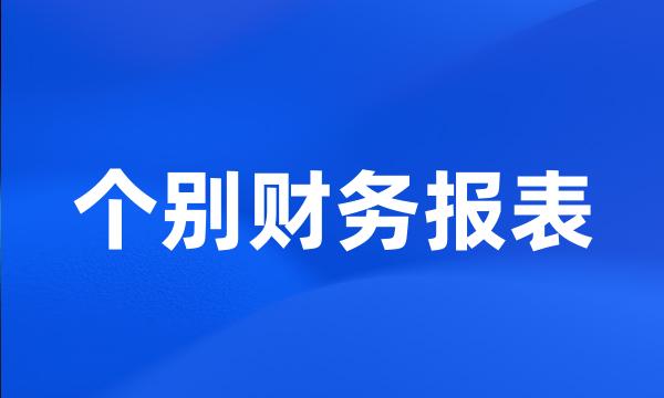 个别财务报表