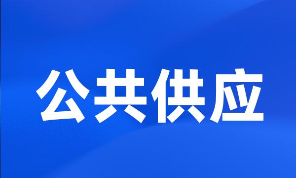 公共供应