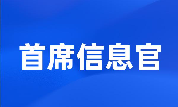 首席信息官