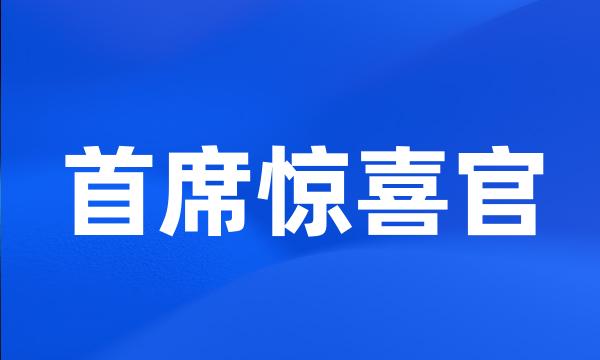 首席惊喜官