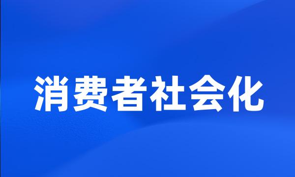 消费者社会化