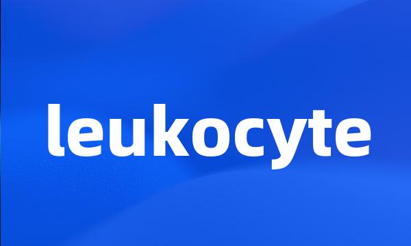 leukocyte