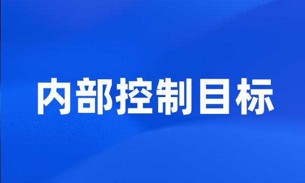 内部控制目标