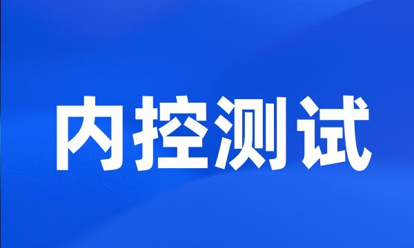 内控测试